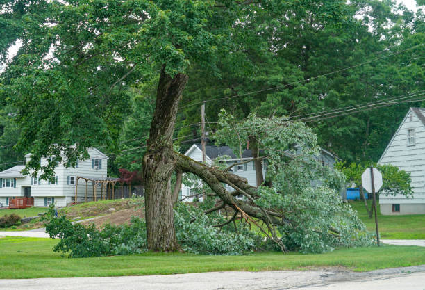 Best Tree Risk Assessment  in Isle Of Hope, GA